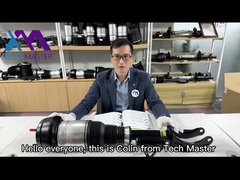 Mercedes Benz W166 Front Air Suspension Shock Absorber OE Nummer 1663201313 1663201413