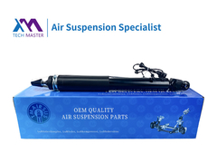 TMAIRSUS LINCOIN MKS MKT Achter met elektrische schokdemper ASH-24428