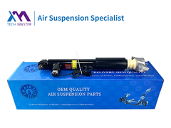 TMAIRSUS Lincoln MKZ Achterste schokdemper ASSY 1015620-00-A