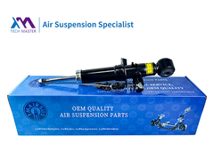 TMAIRSUS Lincoln Navigator Achterste schokdemper JL1Z18125-H