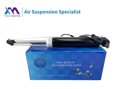 TMAIRSUS Lincoln MKZ Achterste schokdemper met ADS EG9Z18125A