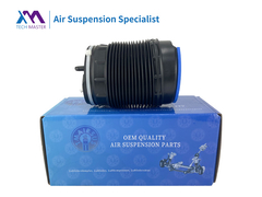 Tech Master TMAIRSUS Volvo S90II Achterluchtveer 31387233