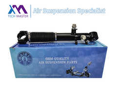 Tech Master TMAIRSUS Achterste schokdemper voor Lexus GX460 48885-60030