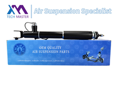 Tech Master TMAIRSUS Schokdemper voor Lincoln MKT ASH24635