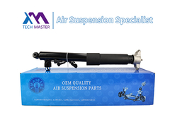 Tech Master TMAIRSUS Achterste rechter schokdemper voor Lincoln MKC EJ7Z18125E