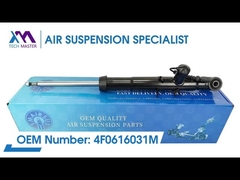 Tech Master TMAIRSUS Achterste schokdemper voor Audi A6 C6 4F0616031M