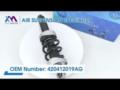 Tech Master TMAIRSUS voorste schokdemper voor Audi R8 met ADS 420412019AG