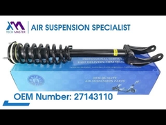 Tech Master TMAIRSUS Voorste Linker Spiraalveer Schokdemper voor Mercedes-Benz GL166 27143110