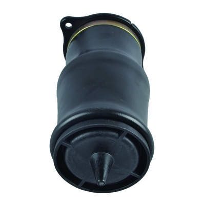 De auto de Opschortingslente van de Deel Achterlucht voor Mercedes Benz W639 OE 6393280101 6393280201