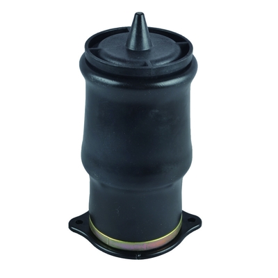 De auto de Opschortingslente van de Deel Achterlucht voor Mercedes Benz W639 OE 6393280101 6393280201