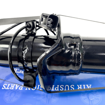 Ford Lincoln schokdemper Achter links rechts voor een soepele rijervaring