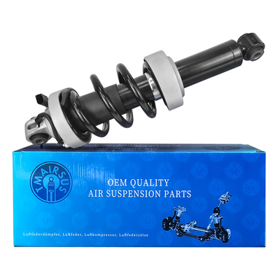 OEM 420412019AG 420412020AG Front Shocks and Struts Kit voor Audi R8 Assembled Struts 2010-2016