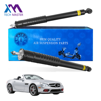 Achterste schokdemper voor Mercedes Benz W171 R171 Schokdempers Assys A1713261100 1713260200