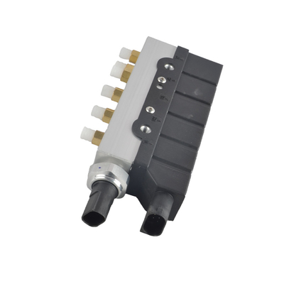 Het Blok van de luchtklep voor OEM 2203200258 van Mercedes-Benz W220