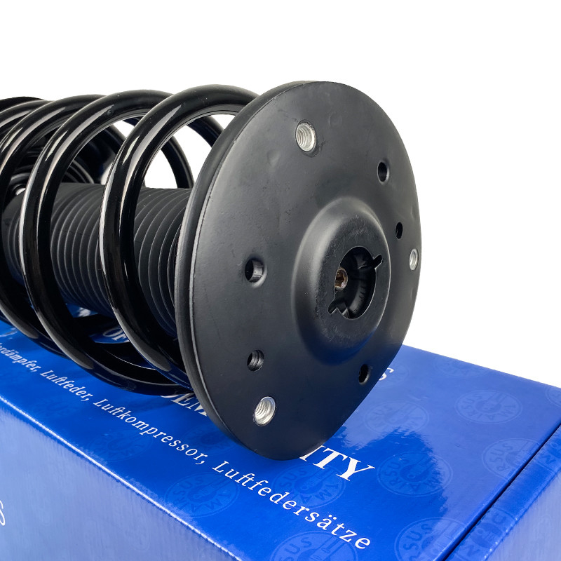 EG9Z18124D Voorste linker-rechter luchtophanging Schokabsorber Strut Assemblage Voor LINCOLN MKZ