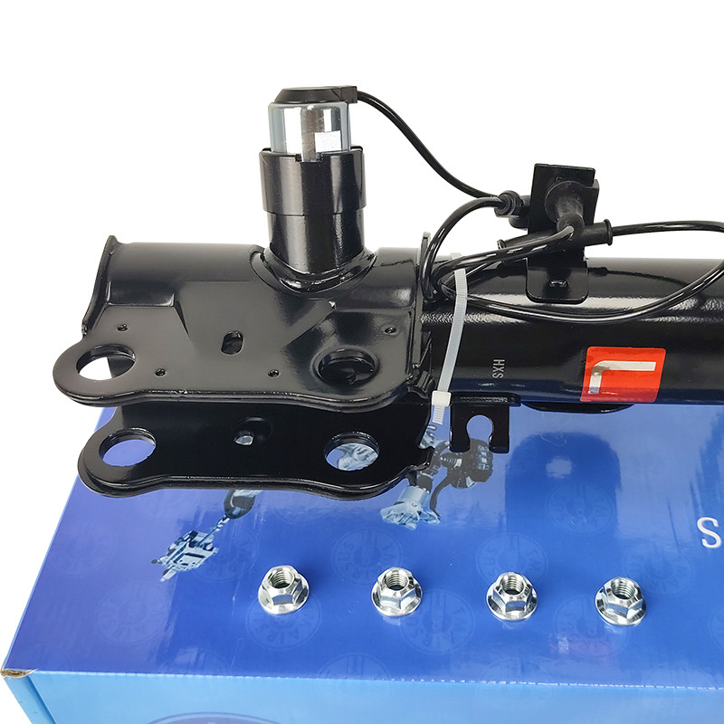 Volledige steunstukken Verzameling voor Lincoln MKS MKT DE9Z18124K DE9Z18124J Ophanging OEM Elektronische gasschok