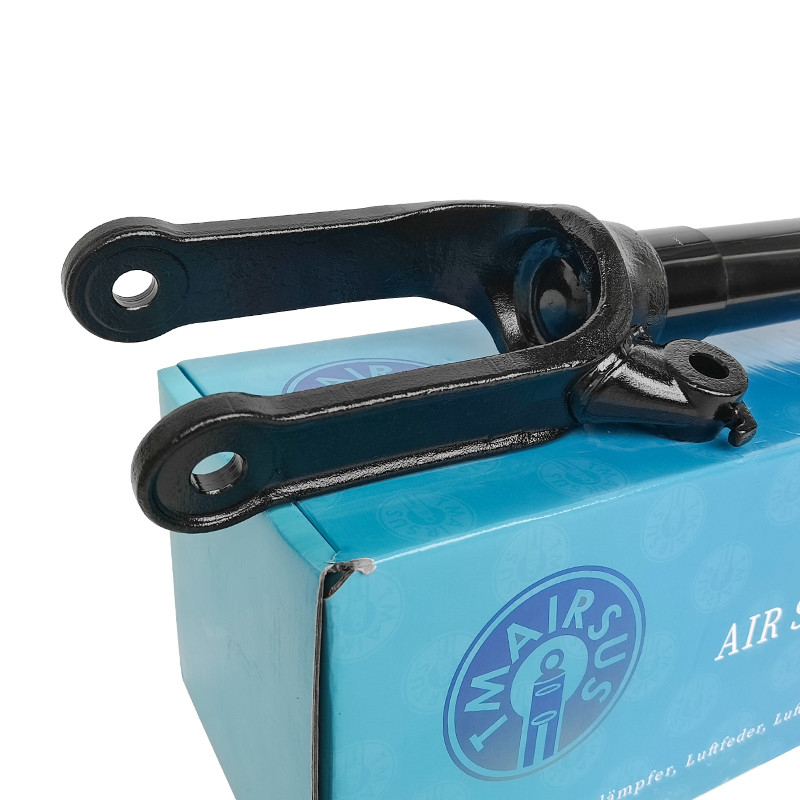 Schokdemper 2513200730 2513203013 2513201931 2513202231 Voor Mercedes-Benz W251 voorste R-klasse 2006-2010