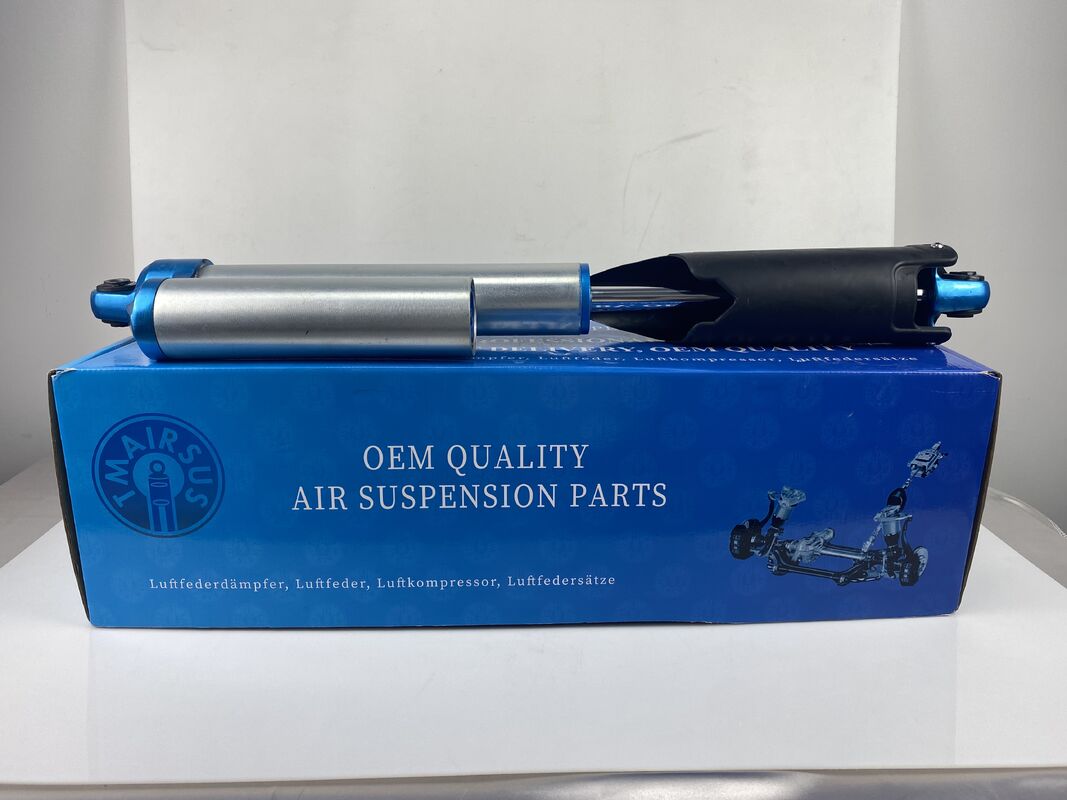 OEM Standard Size Shock Absorber for Ford F150 with 18 Months Warranty and Direct Fitment