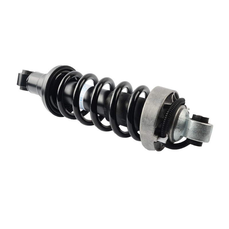 Van de de Luchtopschorting van Audi R8 Achter Links-rechtse ADS de Schokbrekerstut 420512019AL 420412020AG Airmatic