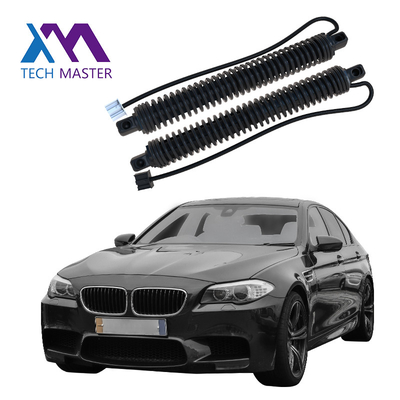 Stut van de de Achterklep Elektrische Laadklep van de 51247207009 51247207010 de Autodelenmacht voor relatieve vochtigheid van BMW 5series F10 F18 2011-2016 links