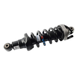 Standaard de Opschortingsschok van de Groottelucht voor Achterl&r Vochtigere OEM (l) 420512019AL (r) 420512020AL van R8