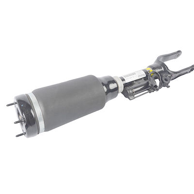 De Schokbreker van de de Luchtopschorting van Mercedes W251 2513203013