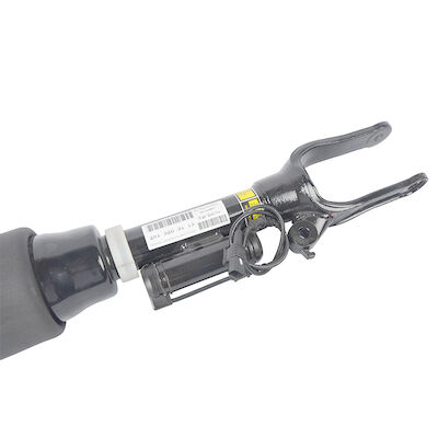 242513203013 de Schokstut van de luchtopschorting voor Mercedes-Benz W251 R - de Schokbreker van de Klassenlucht