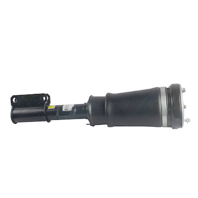 37116761443 37116761444 van de de Luchtblaasbalg van Front Air Suspension Strut For BMW E53 de OpschortingsSchokbreker