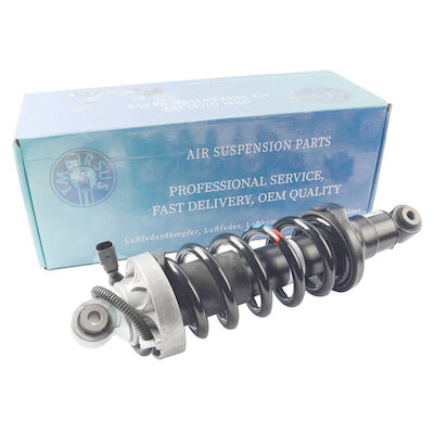 Duitse Auto Audi R8 Front Air Spring Shock Absorber 420412019AG 420412020AG